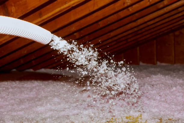 Best Geographic-Specific Insulation Services in Lake Wildwood, CA
