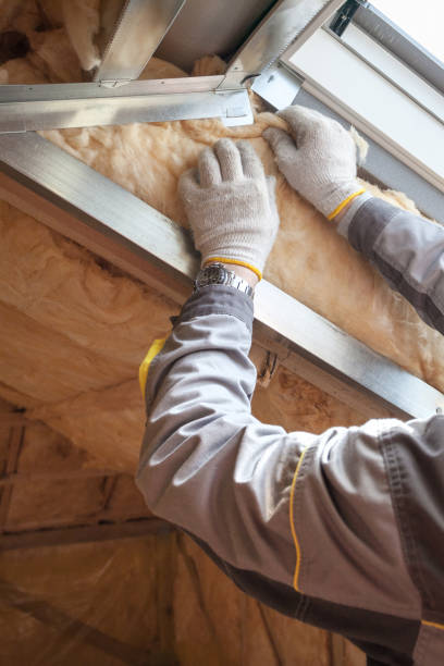 Best Blown-in Insulation in Lake Wildwood, CA