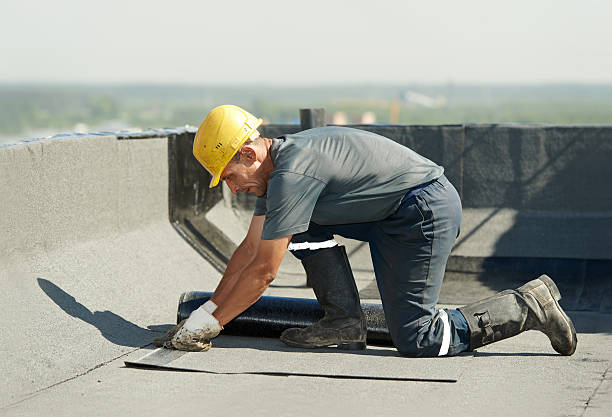 Best Specialized Insulation Services in Lake Wildwood, CA