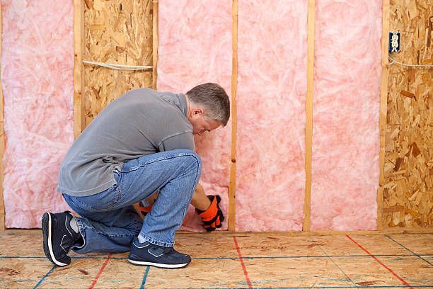 Best Eco-Friendly Insulation in Lake Wildwood, CA
