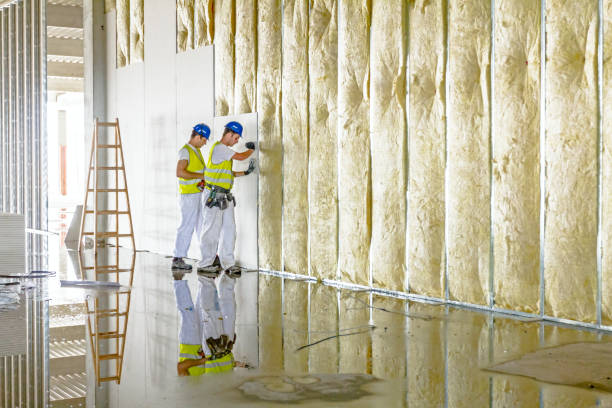 Types of Insulation We Offer in Lake Wildwood, CA